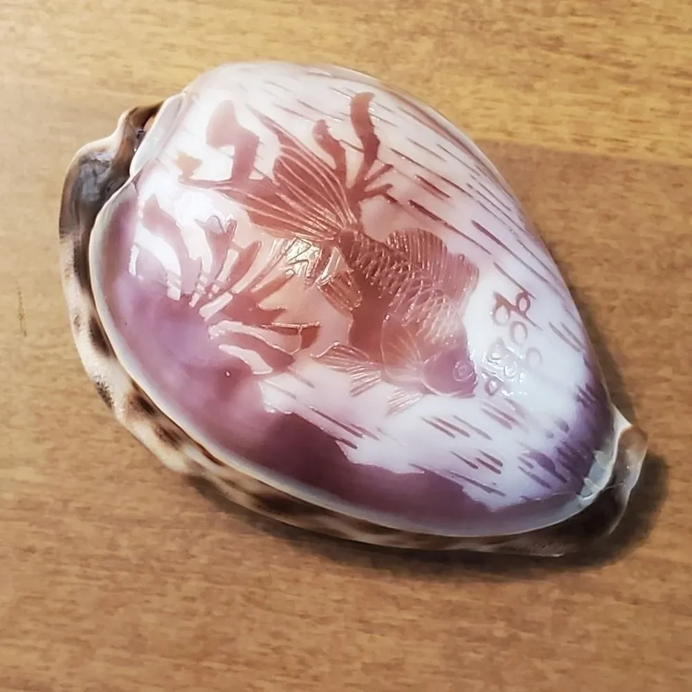 Set of 3 Vtg Hand Carved Tiger Cowrie Shells Souvenir Beach Fish, Deer & Swans